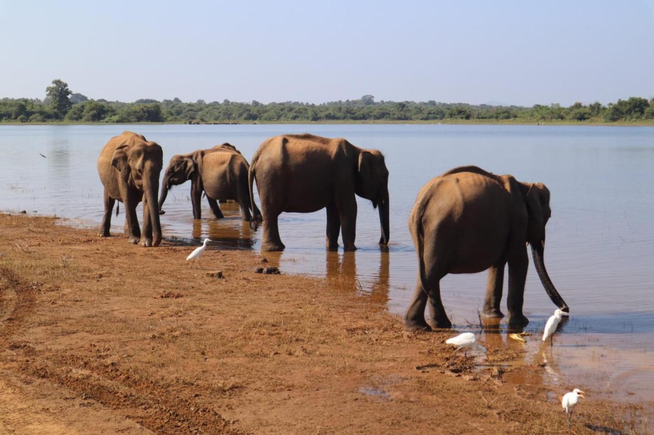 Elephant Paradise Safari Bungalow Udawalawe Luaran gambar