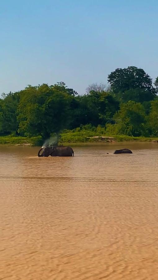 Elephant Paradise Safari Bungalow Udawalawe Luaran gambar