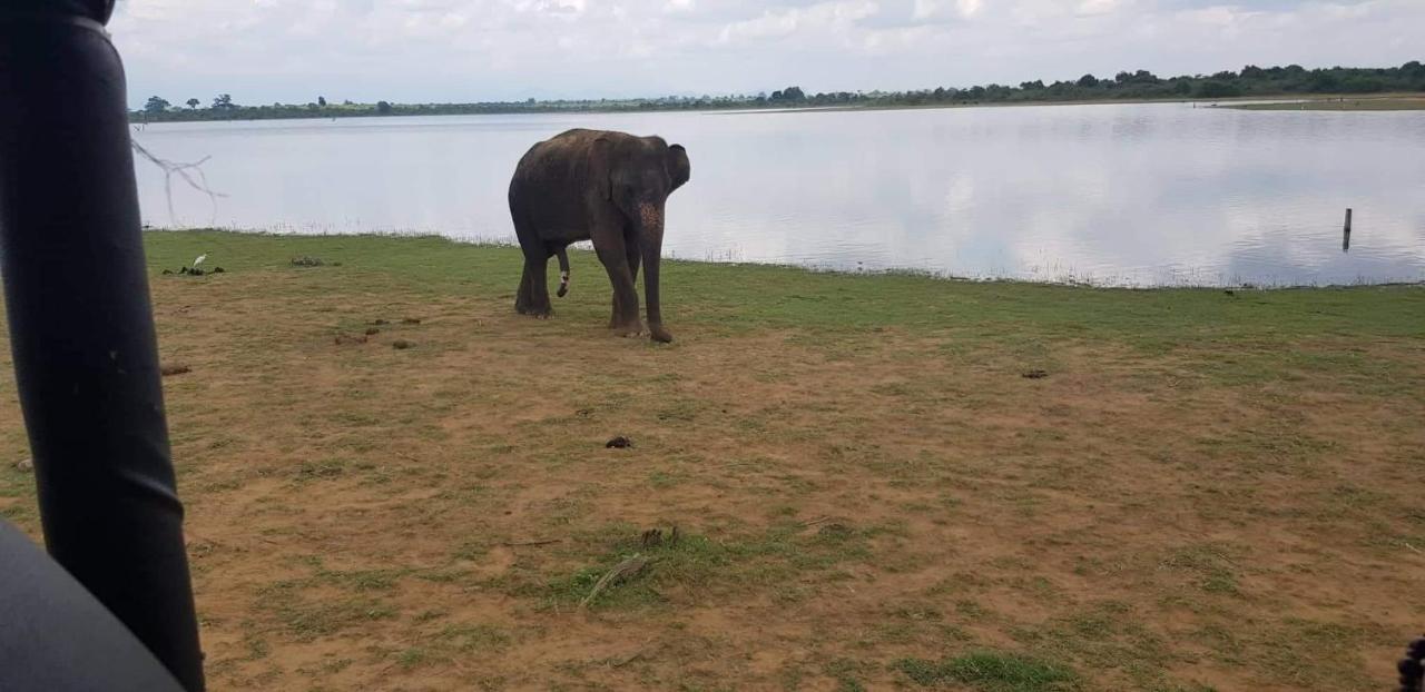 Elephant Paradise Safari Bungalow Udawalawe Luaran gambar
